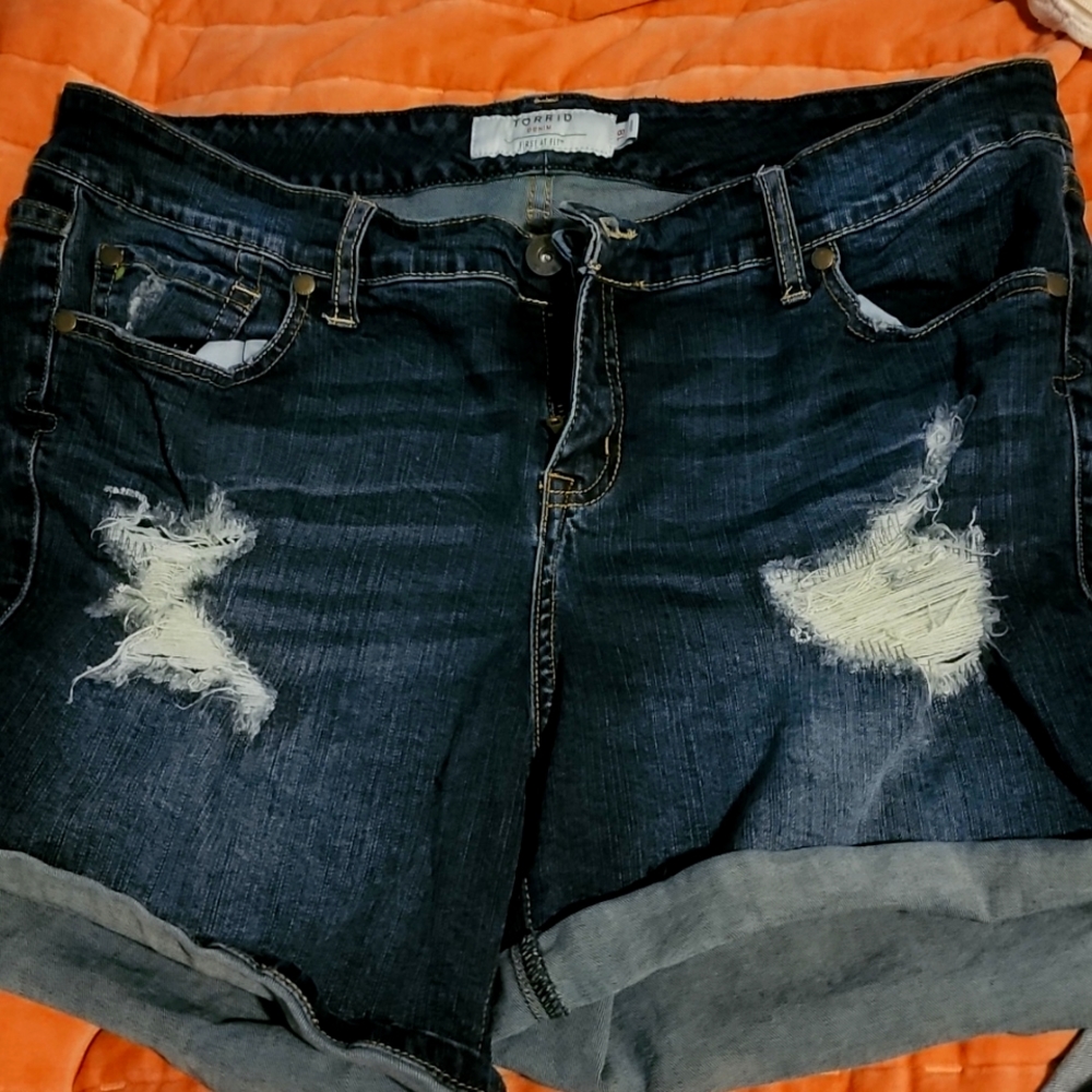 Cute Torrid shorts
